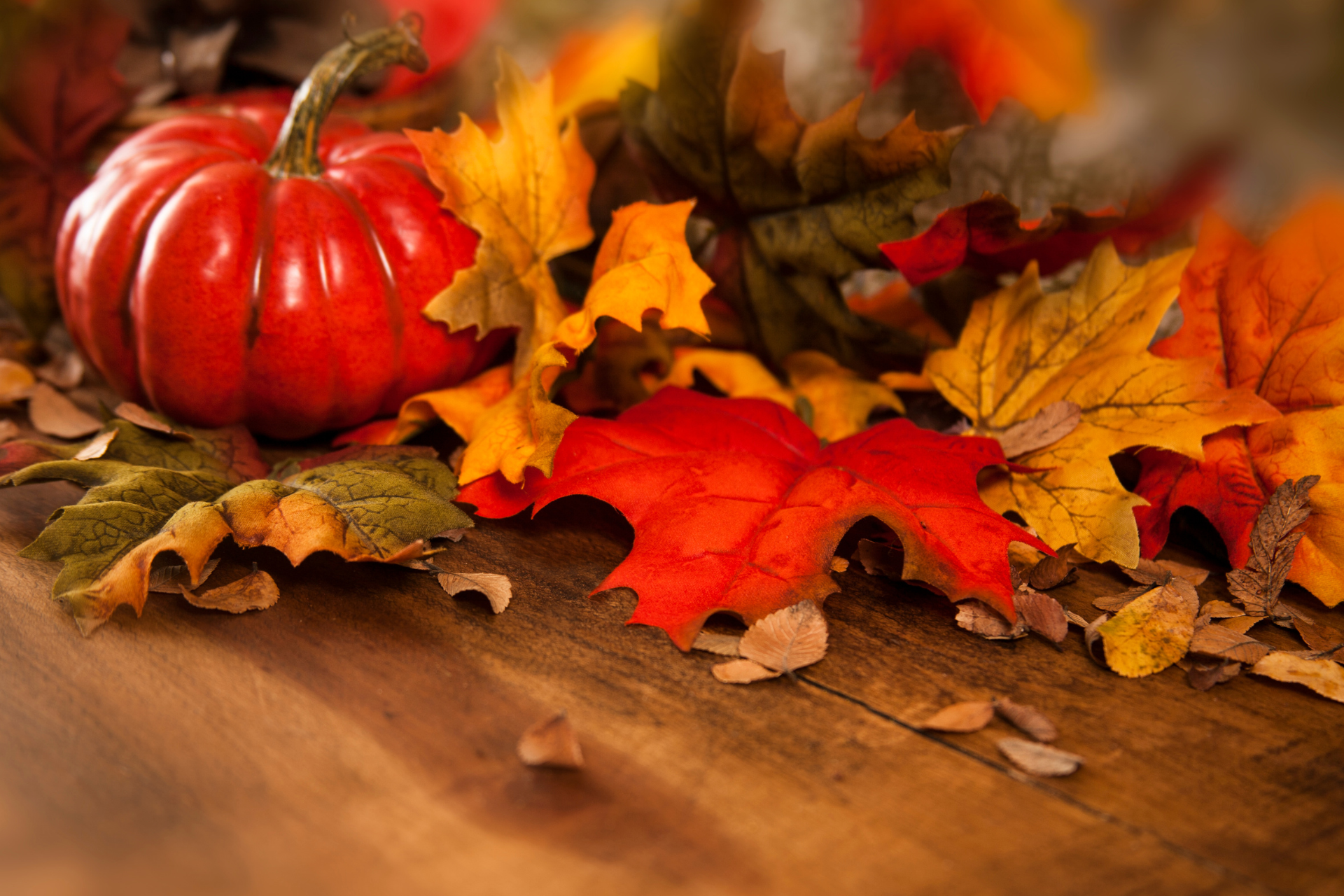 Thanksgiving