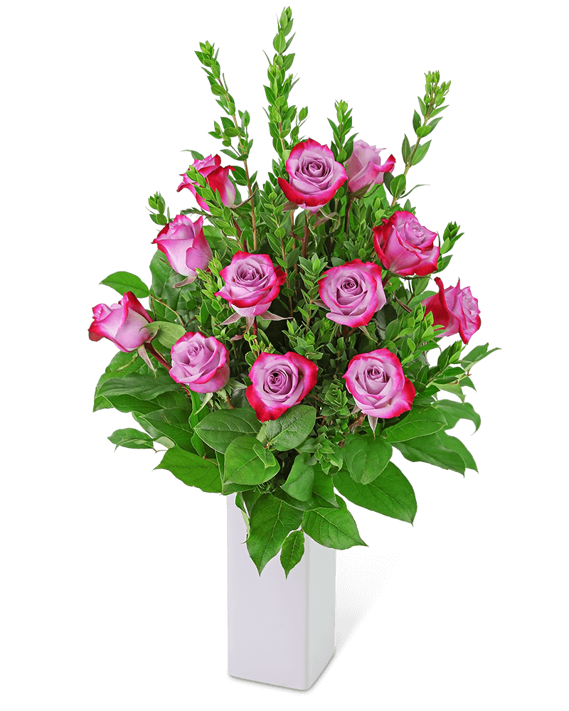 Lovely Lavender Roses (12)