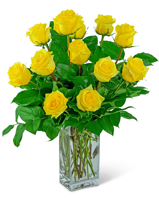 Yellow Roses (12)