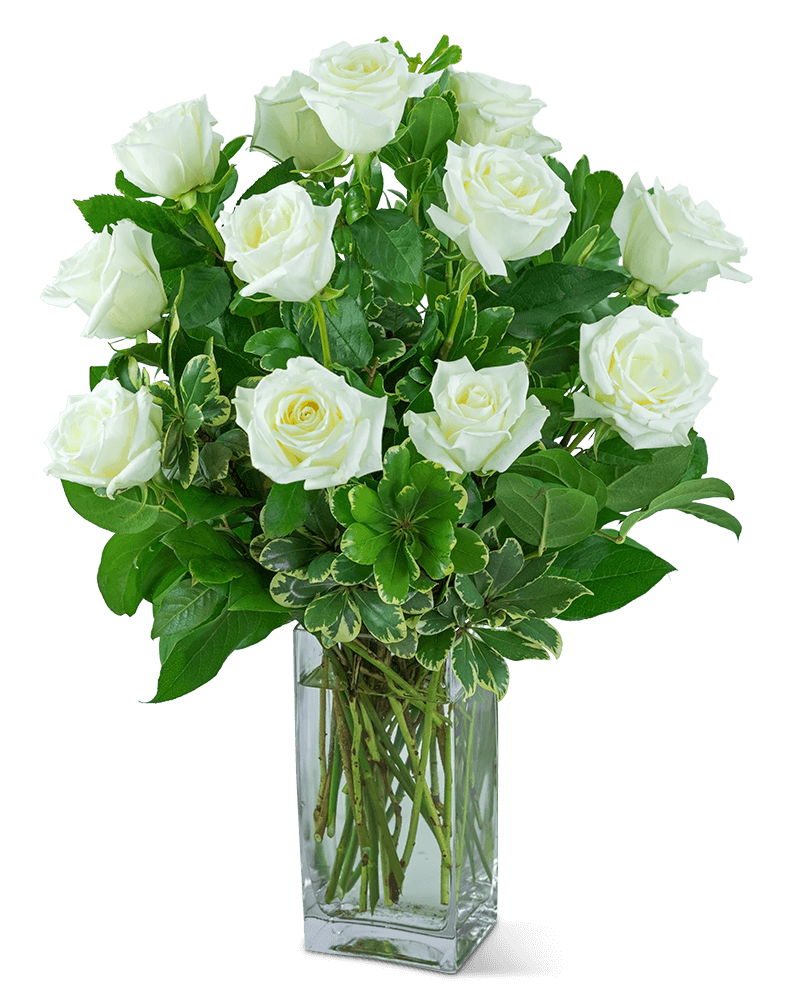 White Roses (12)