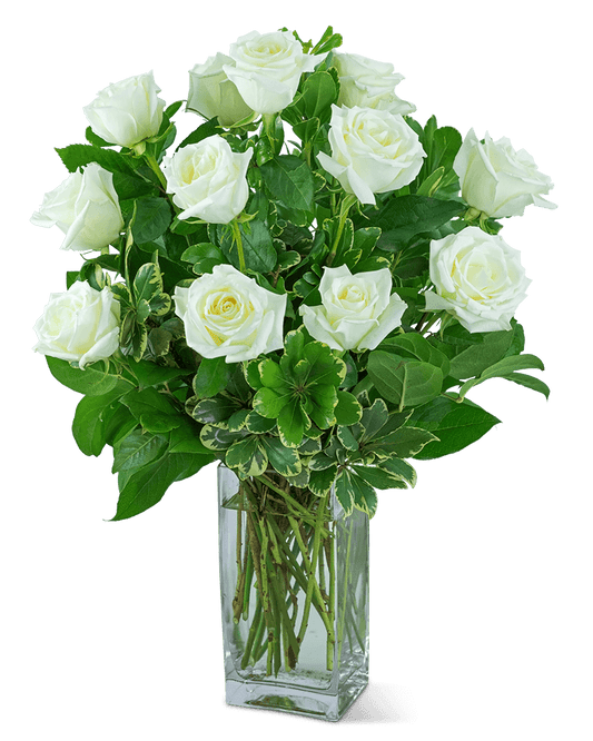 White Roses (12)