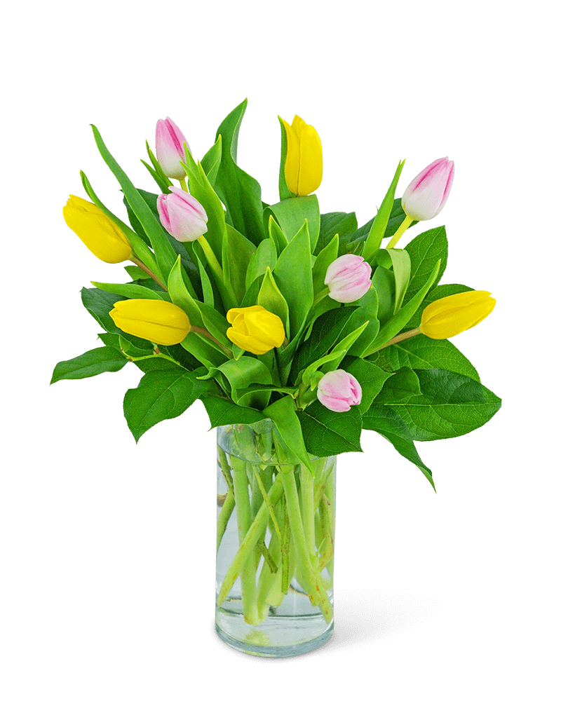 Strawberry Lemonade Tulips