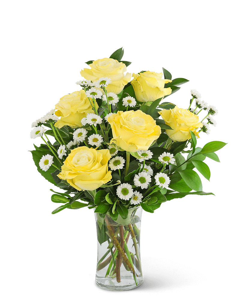 Yellow Roses with Daisies