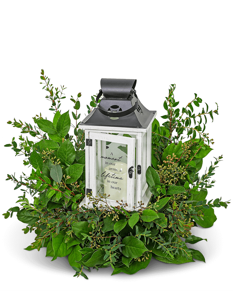 Light in the Shadows Lantern