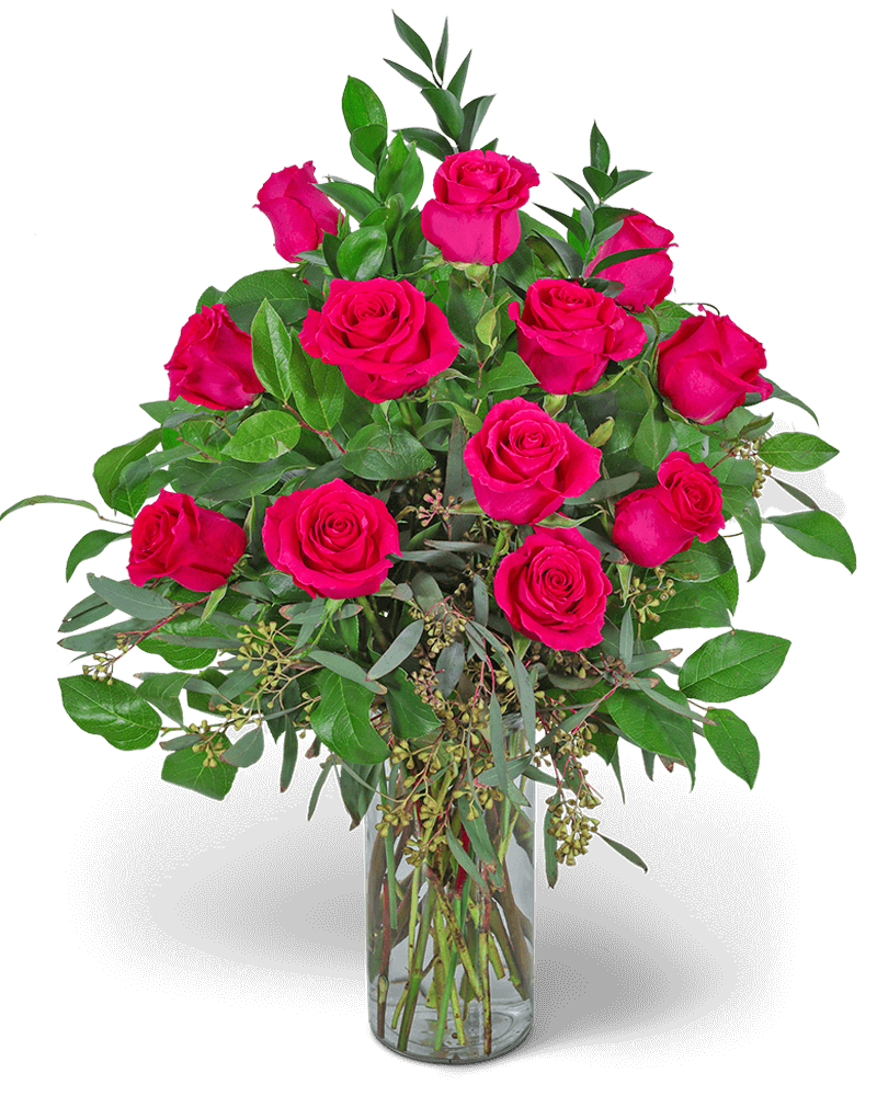 One Dozen Hot Pink Roses