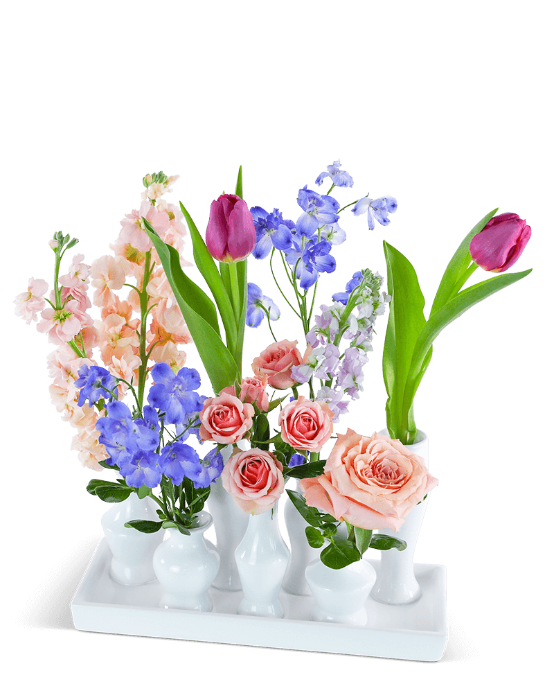 Petal Poetry Bud Vase Blooms