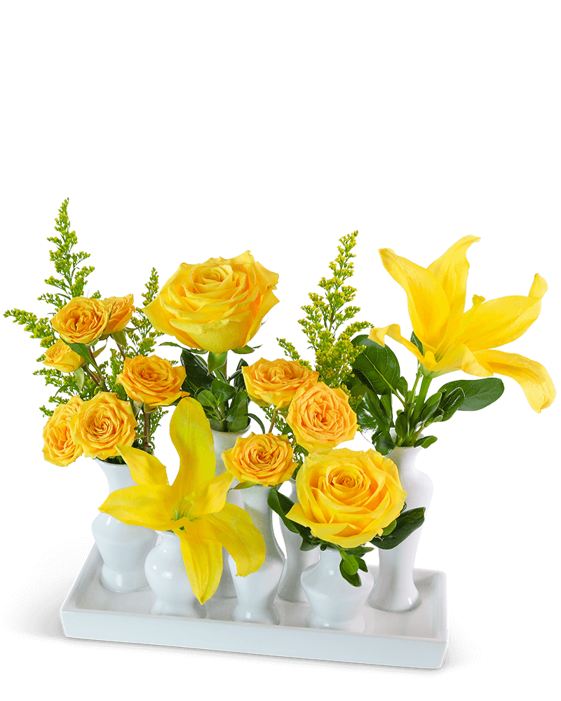 You Are My Sunshine Bud Vase Blooms