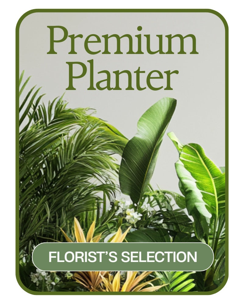 Designer's Choice Premium Planter
