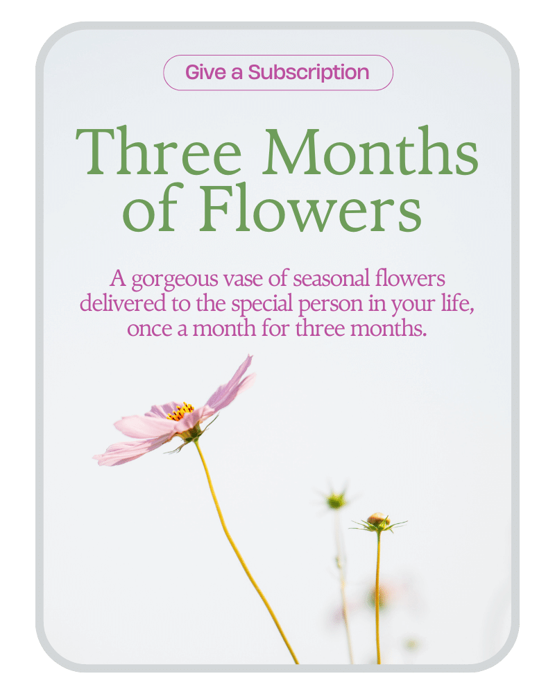 Bouquet of the Month Club (3)