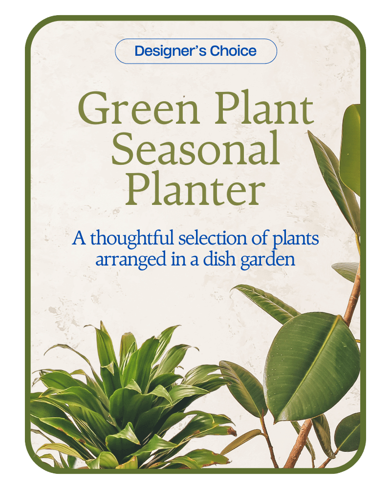 Designer's Choice - Variety of Green Plants