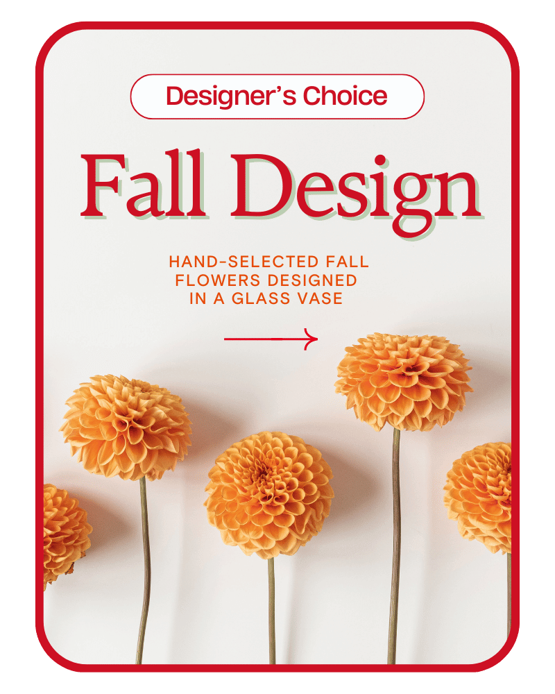 Designer's Choice Fall Design