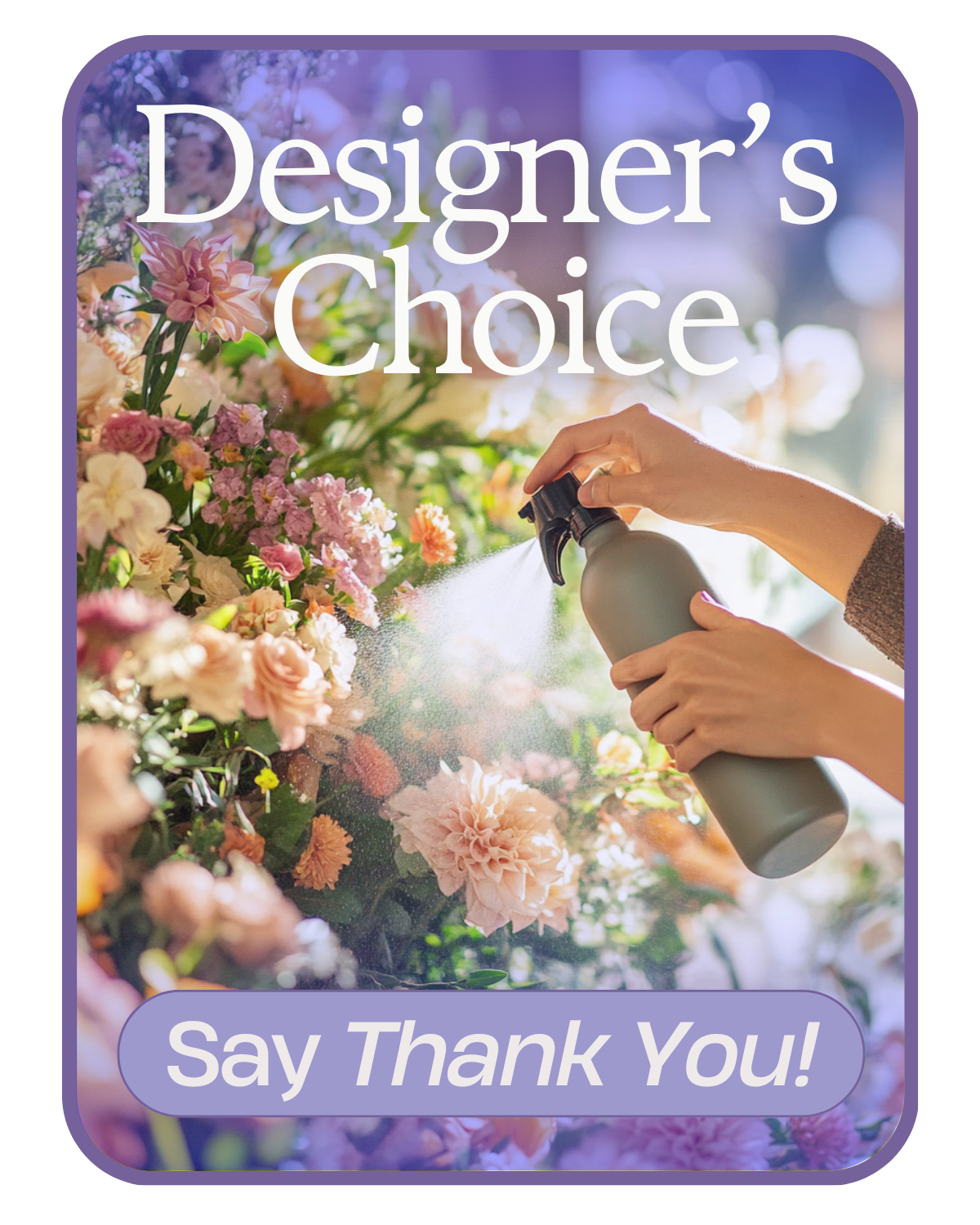 Designer's Choice to Say Thank You