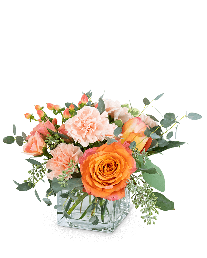Coral Crush