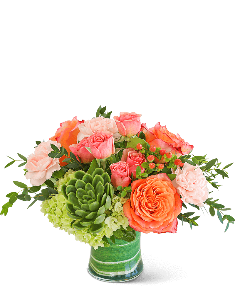 Coral Calma with Succulents