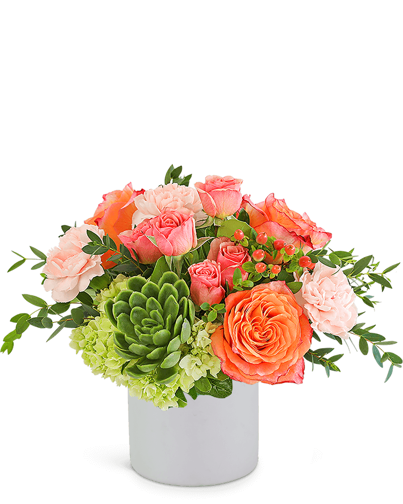 Malibu Magic with Succulents