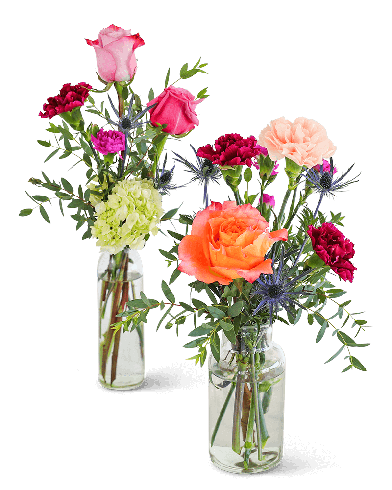 Bottles of Prismatic Buds