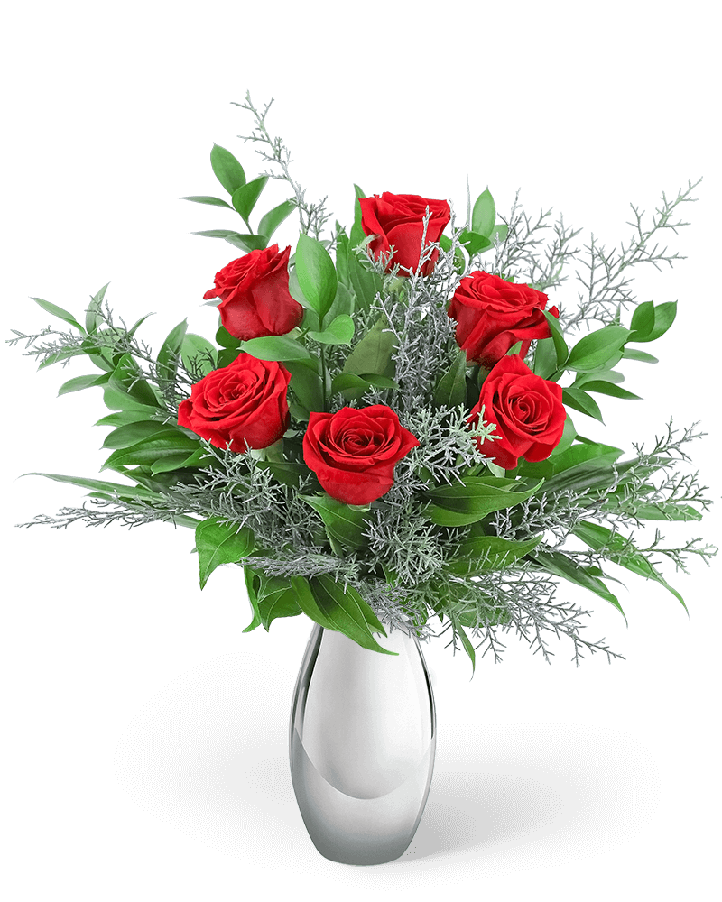 The Holiday Six in Silver