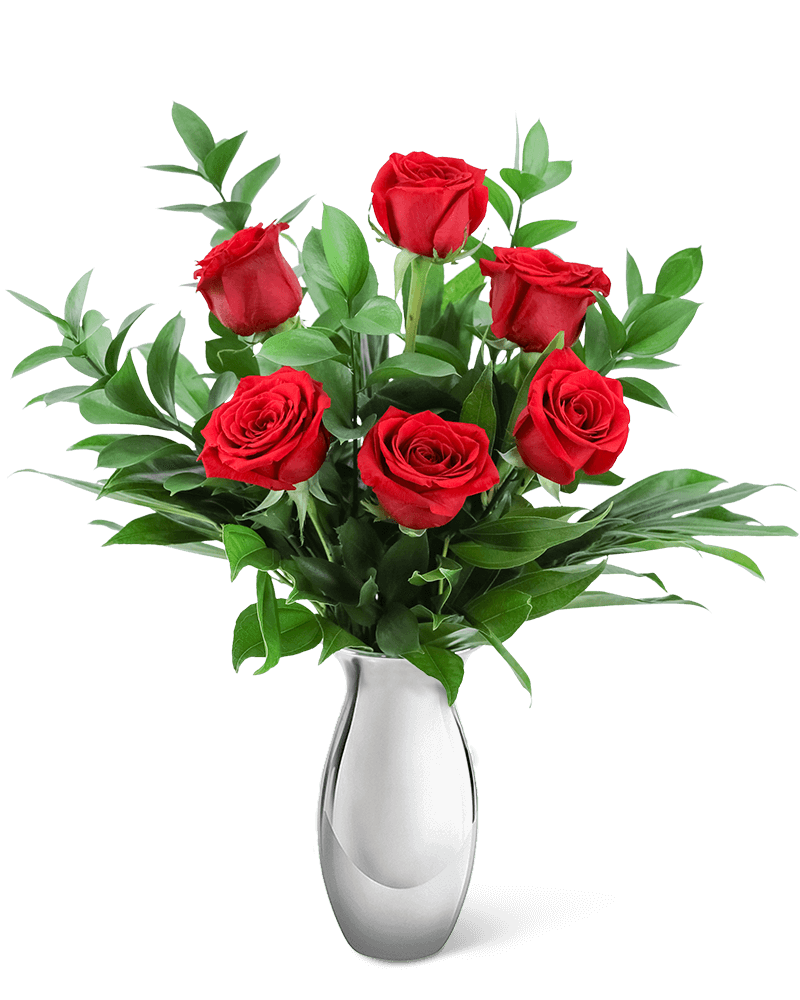 The Classic Six in Silver