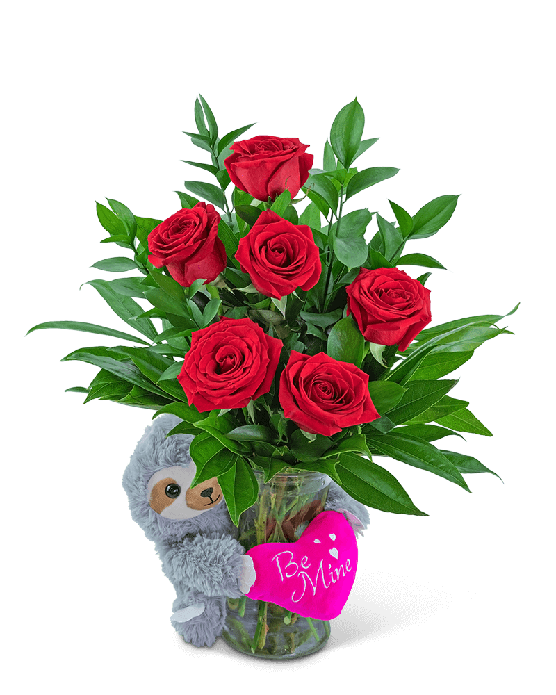 Be Mine Classic Six Red Roses with Sloth