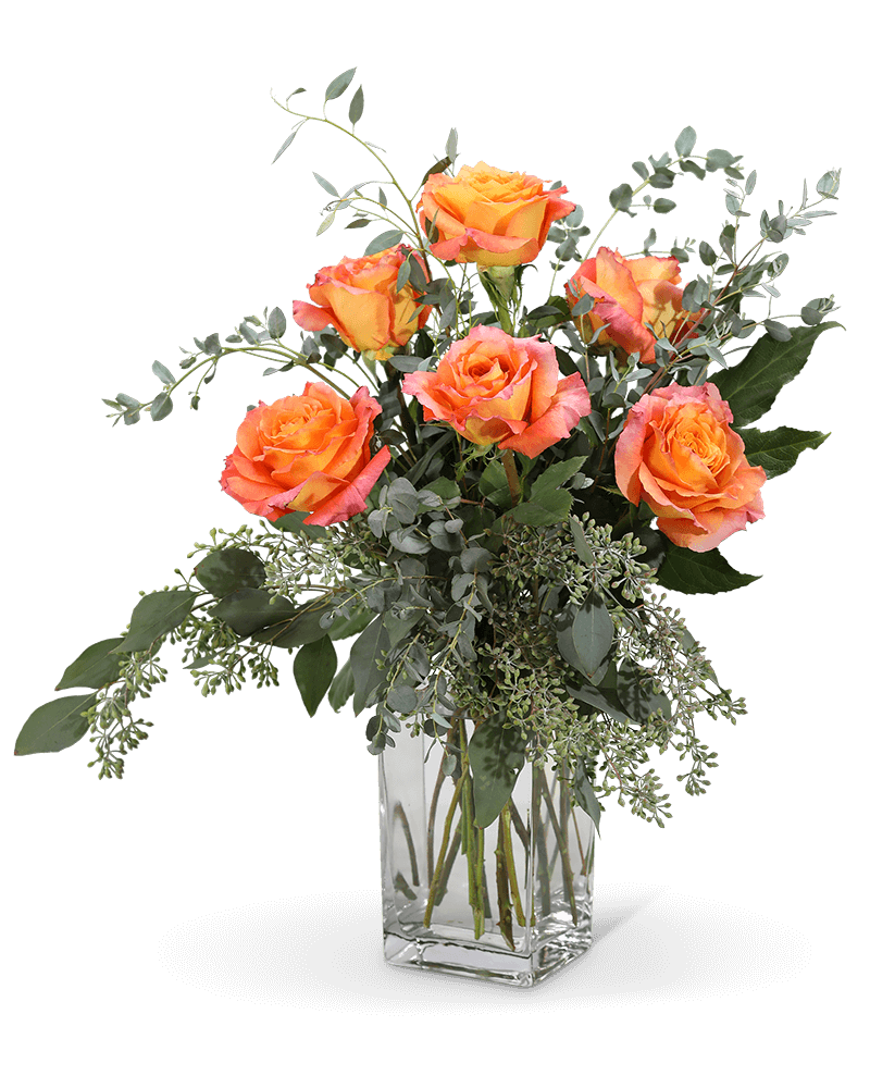 Free Spirit Roses (6)