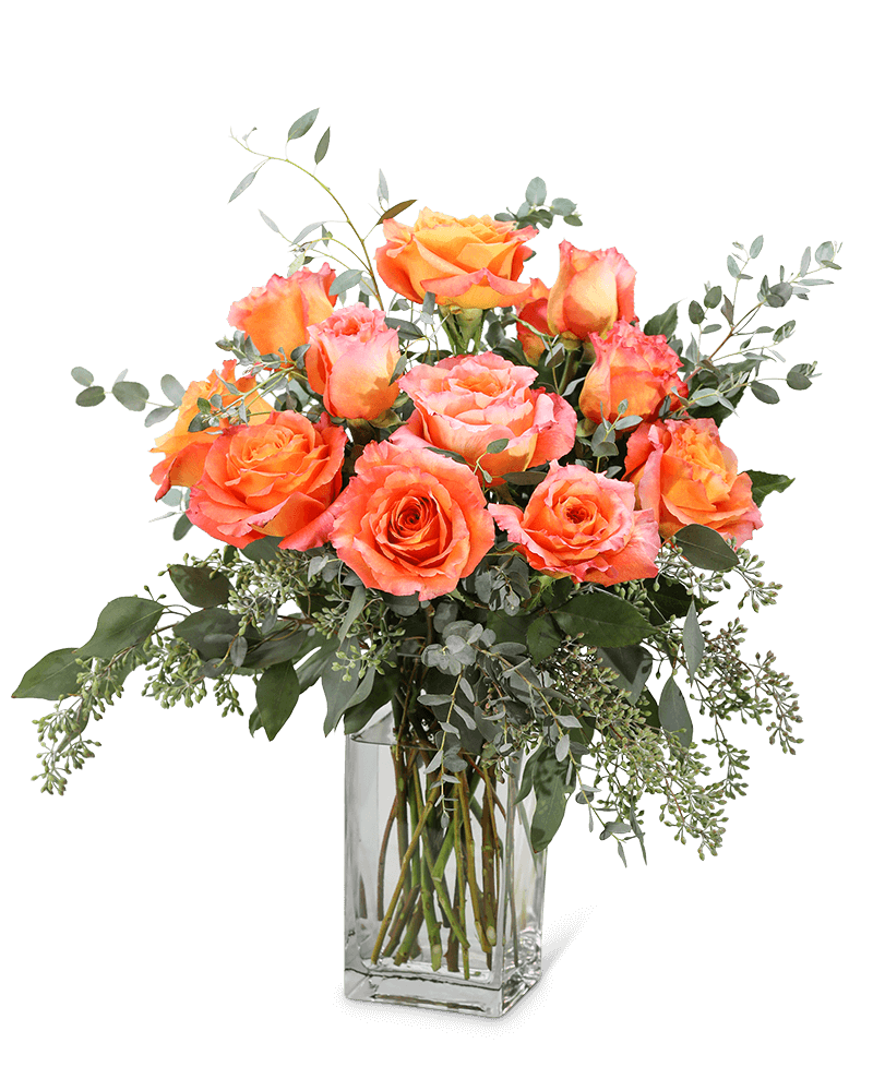 Free Spirit Roses (12)