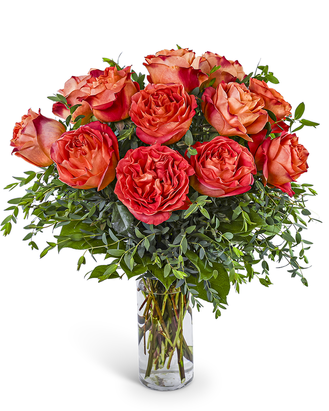 One Dozen Wild Spirit Roses