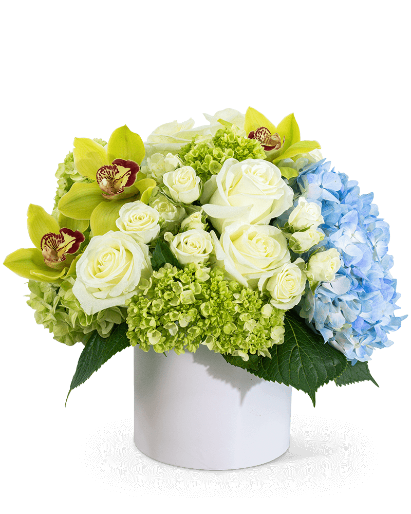 Luxe Home Garden with Orchids