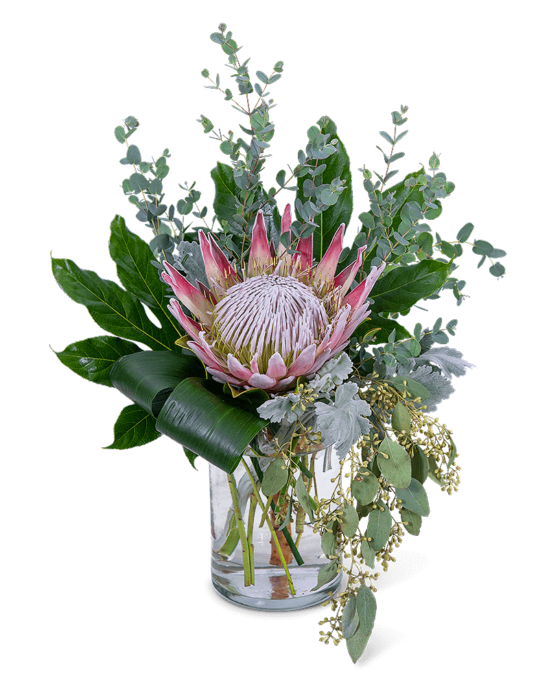 Tropical Naturals