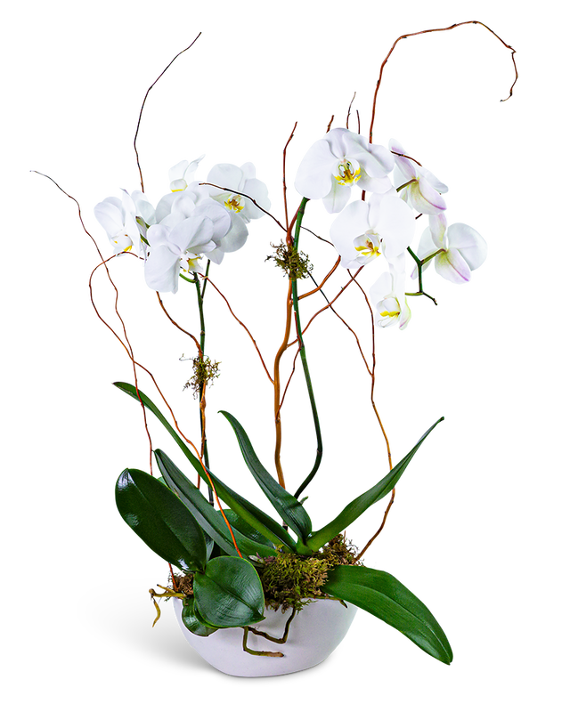 Luxe Double Orchid