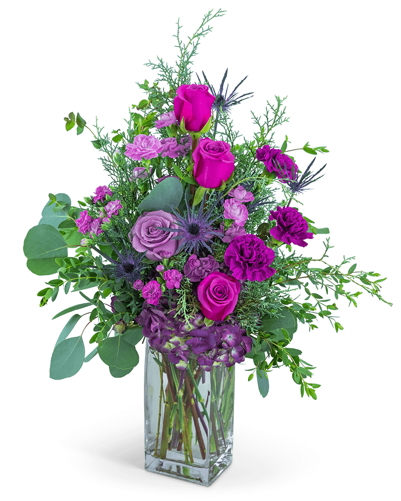 Midnight Magenta
