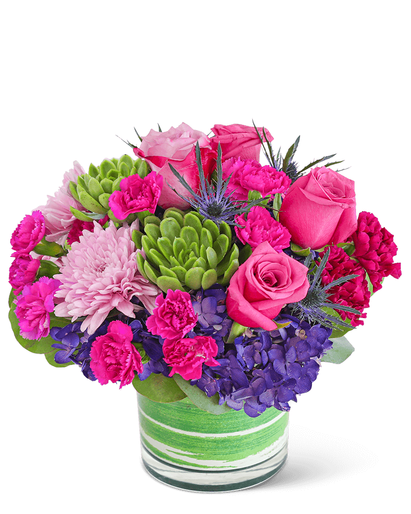 Luminous London with Succulents