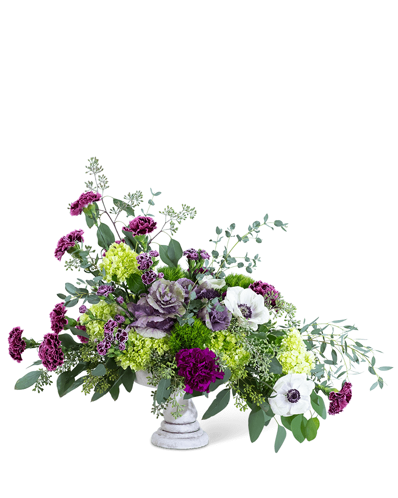 Purple Reign Compote