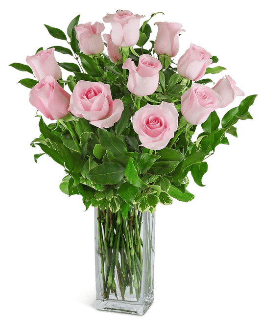 One Dozen Light Pink Roses