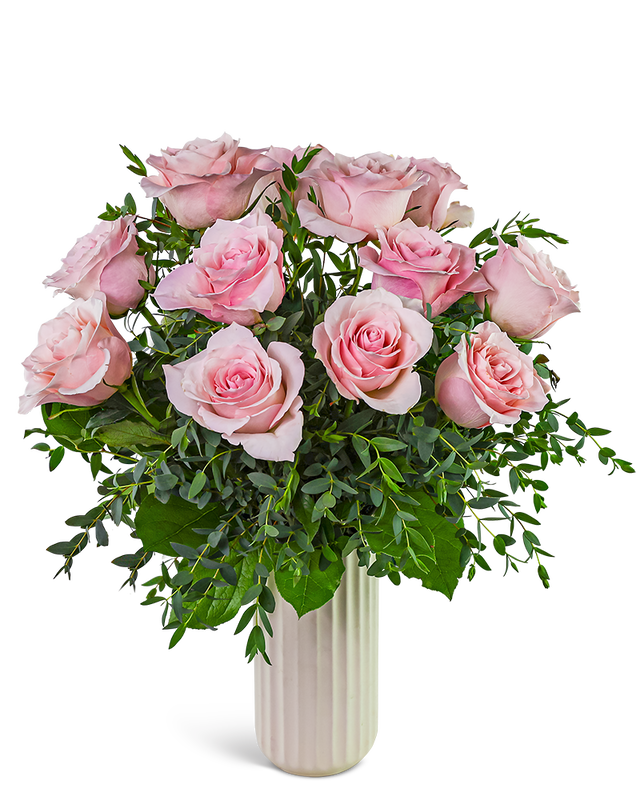 One Dozen Pink Cloud Roses