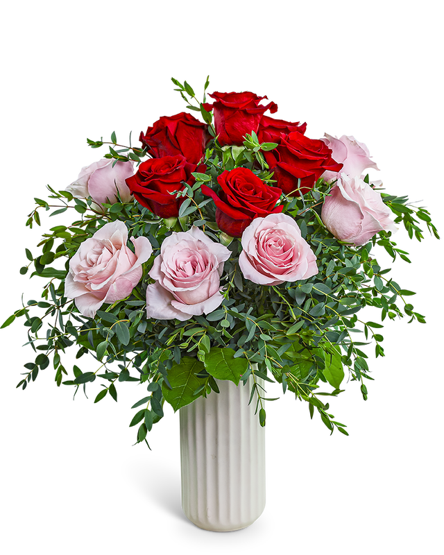 One Dozen Pink and Red Roses