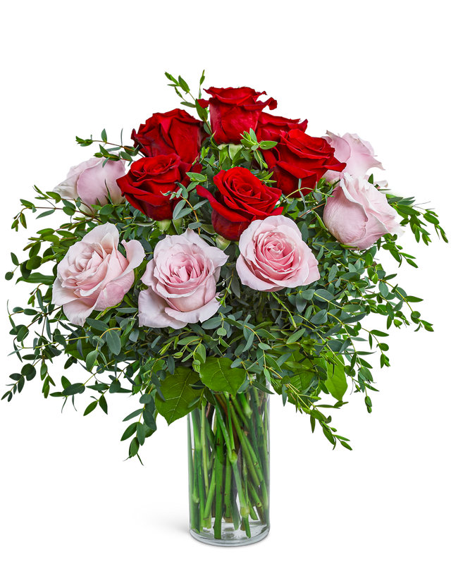 One Dozen Perfect Pink and Red Roses