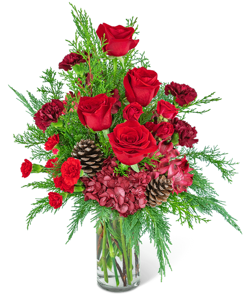 Enchanted Ruby Forest