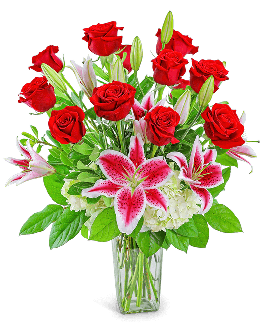 Enchanting Dozen