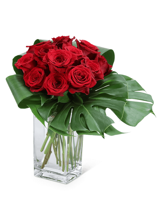 Modern Roses (12)