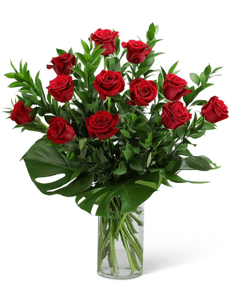 Red Roses with Modern Foliage (12)