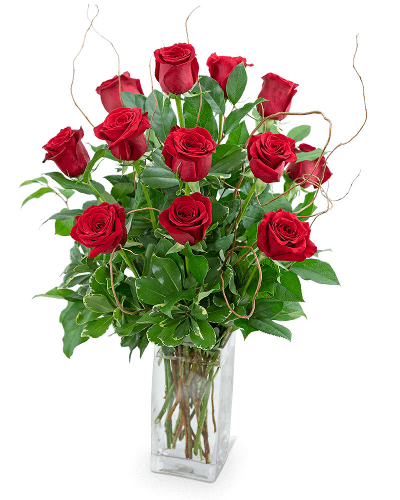 Dozen Red Roses with Willow