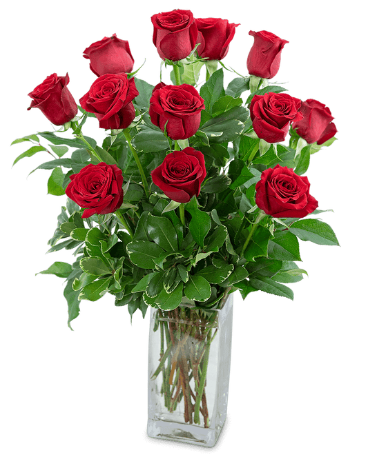Classic Dozen Red Roses