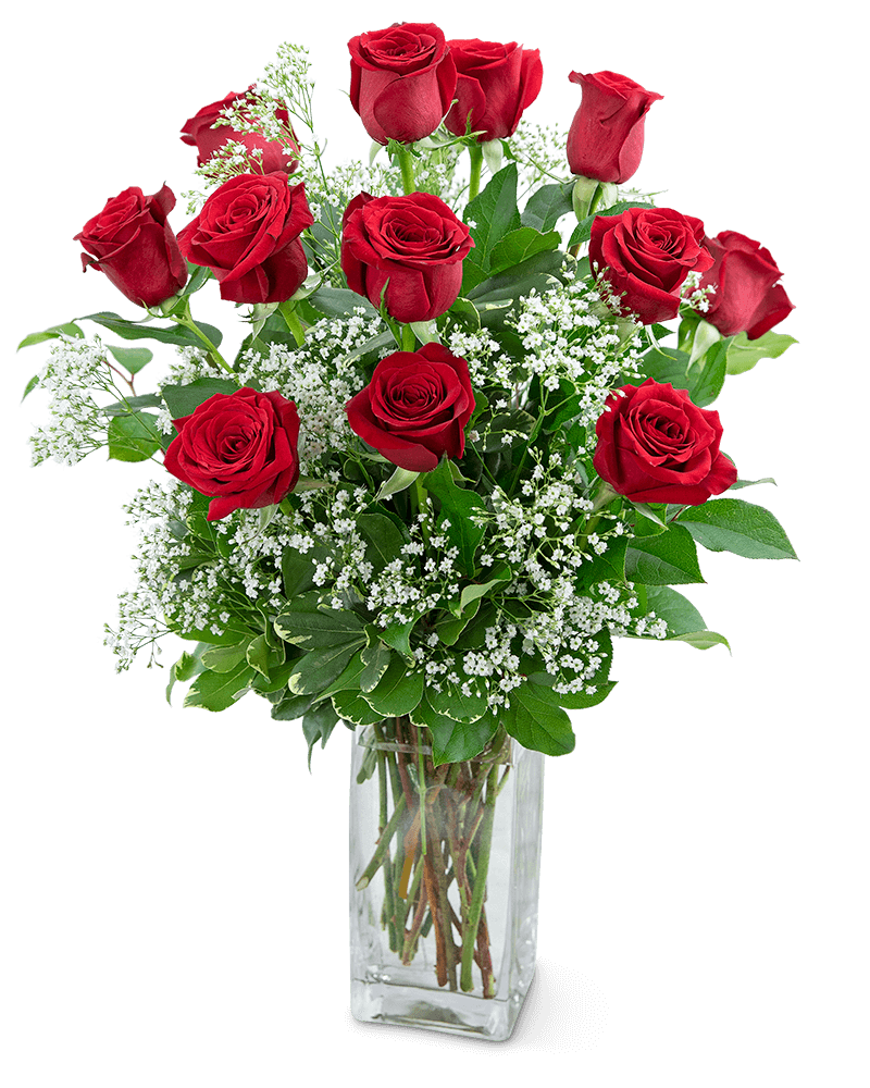 Dozen Roses in a Cloud