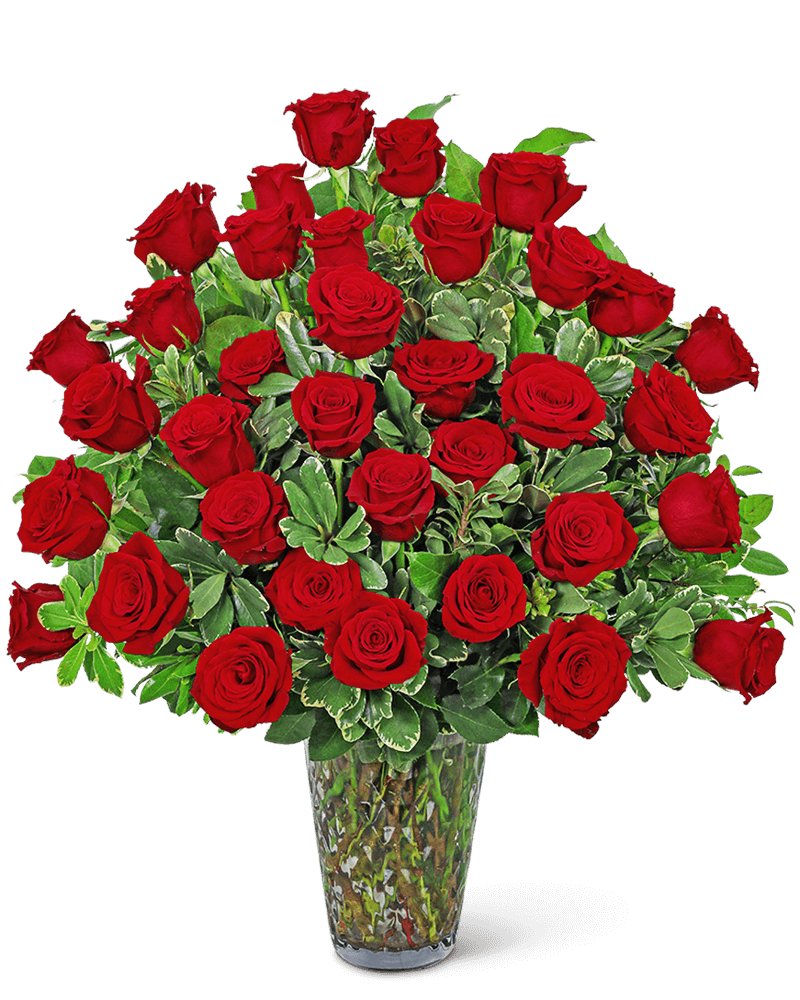 Three Dozen Elegant Red Roses