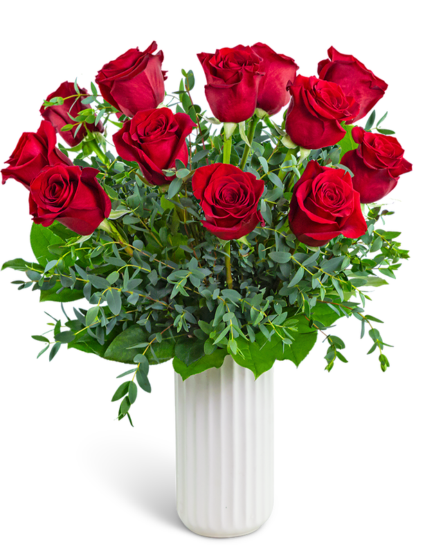 One Dozen Ruby Red Roses