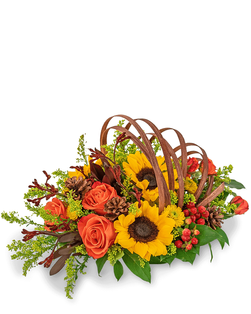 Creative Cornucopia