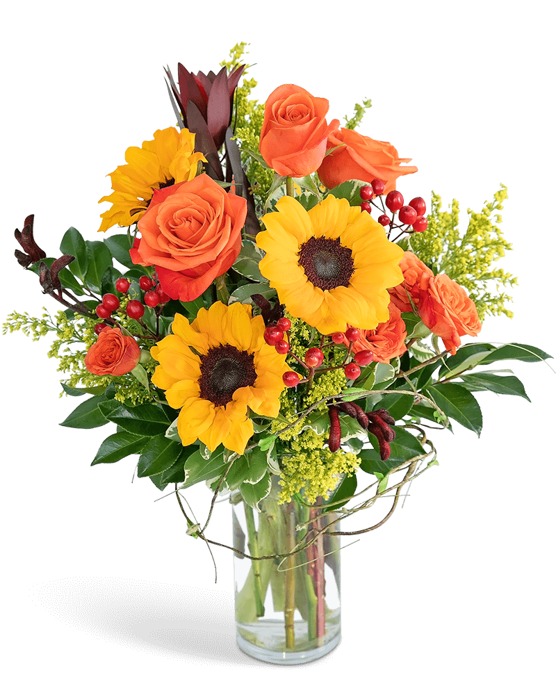 Postcard from Tuscany