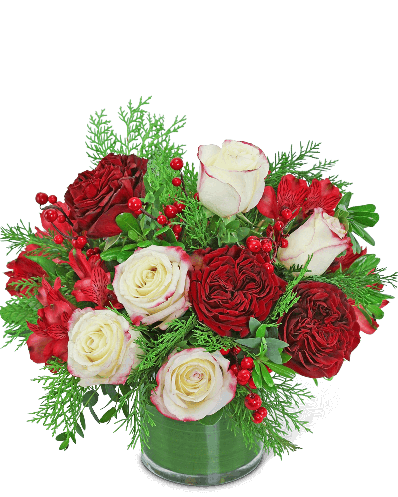 Luxe Peppermint Mocha