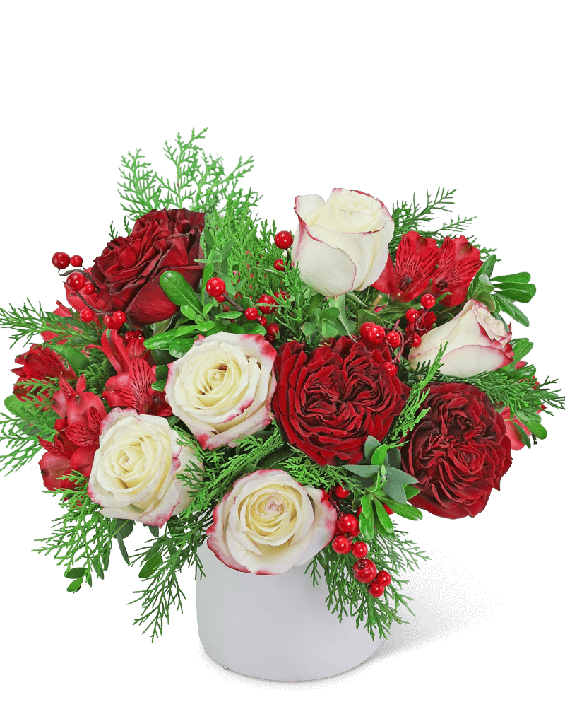 Luxe Berry Wonderland