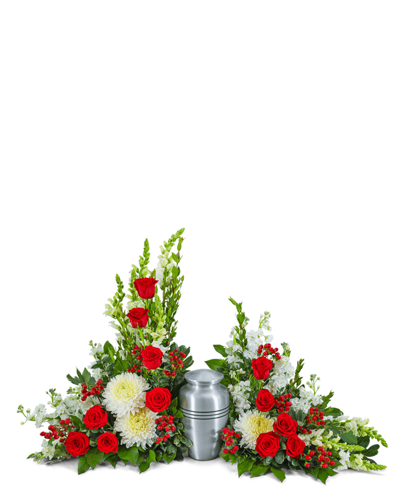 Serene Sanctuary Surround